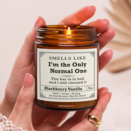 Funny Candle – I’m the Only Normal One | Snarky Gift for Friends & Family